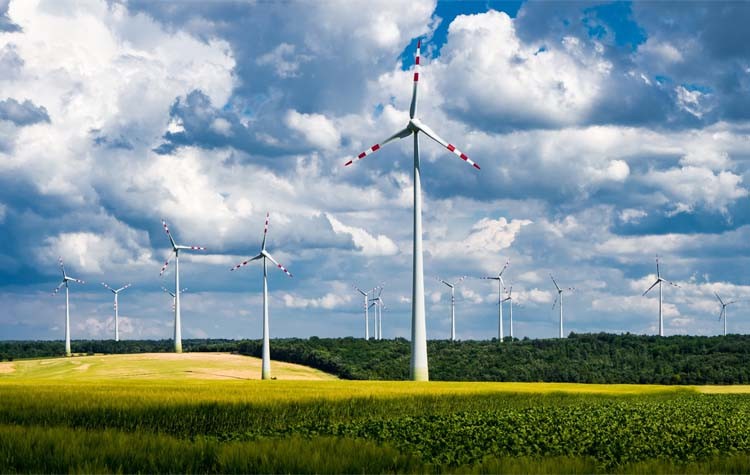 Grupo Sesaelec apuesta por las energías renovables